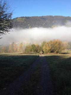 Waldnest Odenwald - Wald-Michelbach - 6