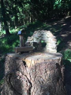 Waldnest Odenwald - Wald-Michelbach - 3