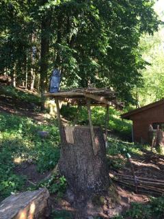 Waldnest Odenwald - Wald-Michelbach - 2