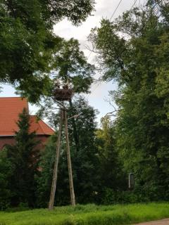 Apartament Wiejska Sielanka - 2