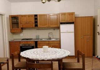 Little Star pioppa - 9