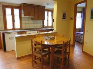 Apartaments La Bonaigua - Valencia de Aneu - 5