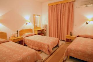 Milionis Forest Hotel - 8