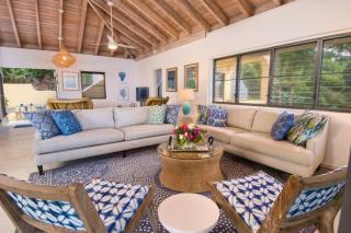 A DREAM COME TRUE VILLA - Virgin Gorda - 3