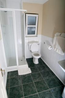 Griffin Lodge Guesthouse - Galway - 9