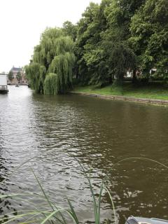 nummer 100 - 2 - Leeuwarden - 8