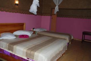 Paradise in the desert of Morocco - Tamegroute - 9