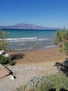 Family Apartments 4 - 6