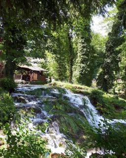 Guesthouse Pod rastockim krovom - 9