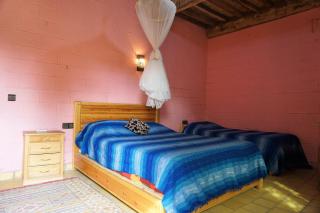 Paradise in the desert of Morocco - Tamegroute - 8