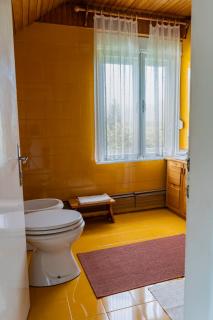 APARTMA JANŠA - Bled - 9
