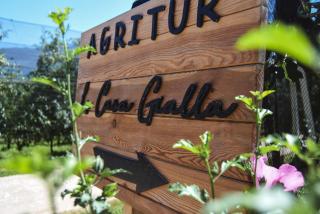 Agriturismo La Casa Gialla - Romagnano - 3