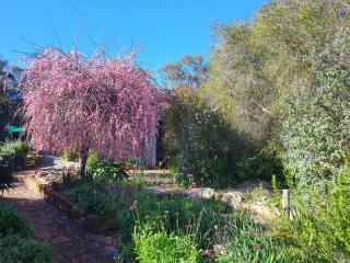 The Greenery - Castlemaine - 9
