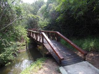 Lion Tree Top Lodge - Guernsey Nature Reserve - 1