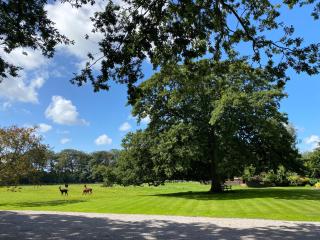 Singleton Lodge Country House Hotel - Poulton le Fylde - 3