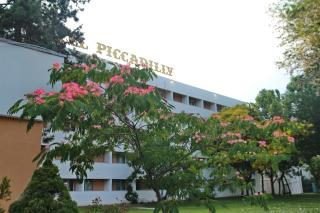 Hotel Piccadilly - Mamaia - 8