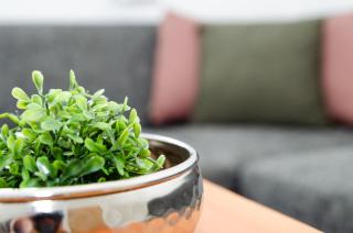 Apartment Mayerhofer - 2