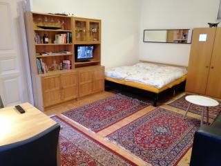 Gemütliche Wohnung nahe Zentrum - Vienna - 3