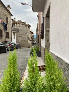 B&brown - Bomarzo - 0