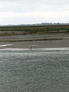 Baie à Deux - Saint-Valery-sur-Somme - 9