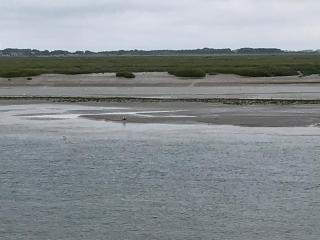 Baie à Deux - Saint-Valery-sur-Somme - 7