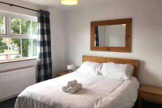 Bangor Home from Home 2bed house - Bangor - 5