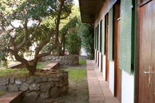 Tres Estrellas - 9