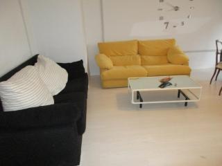 Apartamento Pirineo Aragonés - Sabiñánigo - 5