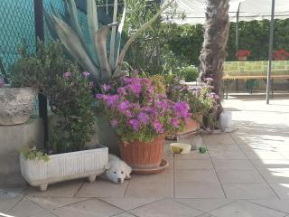 Regina di Cuori Rooms - Sant'Elpidio a Mare - 1