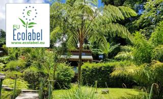 Les Bananes Vertes Ecolodges - Saint-Claude - 9