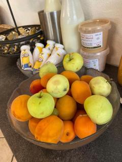 Gasthof zum Mohrn - 1