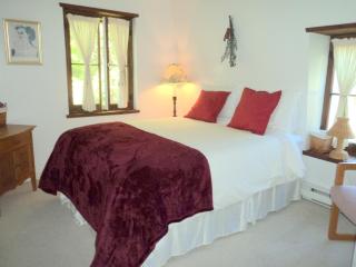 Le Clos des Brumes - 1