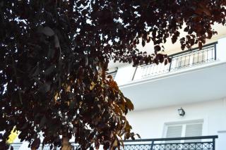 Paradise Beach Apartments - 6