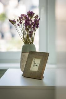 Storchennest Sankt Annen - 1