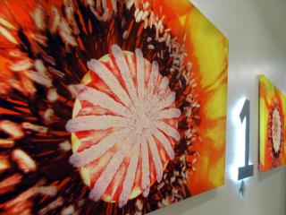 Le Pavillon Hotel - Paris - 4