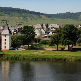 Gästehaus & Weingut Clüsserath-Weiler - Trittenheim - 7