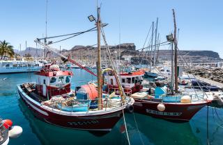 Edificio Playa - 2