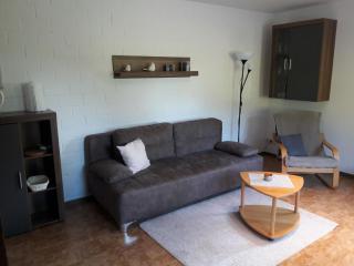 Modern Apartment in Sellinghausen with Terrace - Schmallenberg - 2