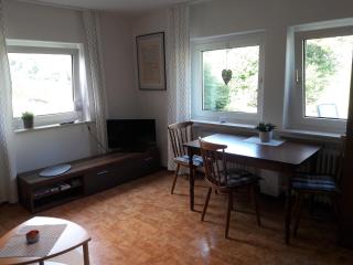 Modern Apartment in Sellinghausen with Terrace - Schmallenberg - 8