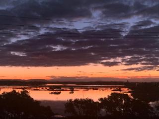 Wallis View 13 - Forster - 9