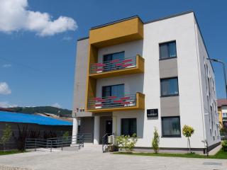 Clement Apartments - Piatra Neamţ - 9