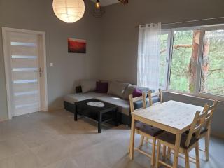 Apartament pod Sosnami 2 noclegi OTW Borówno WLK Skarszewy - Skarszewy - 5