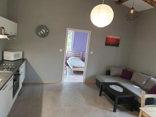Apartament pod Sosnami 2 noclegi OTW Borówno WLK Skarszewy - Skarszewy - 8