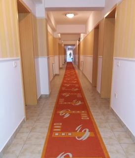 Hotel vila veneto - Timişoara - 1
