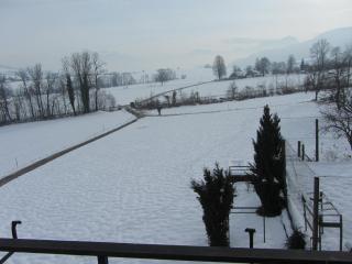 Bauernhof Schink - Zell am Moos - 8