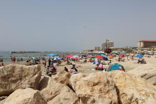 Premium Class Marina Herzeliya - 9