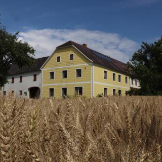 Landhof Lydia - Roggendorf - 5
