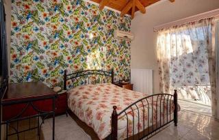 Tsiolis Studios & Apartments - Tsilivi - 9