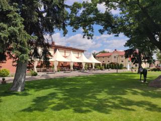 Hotel Sandro Silver & Spichlerz Antoniny - Leszno - 6