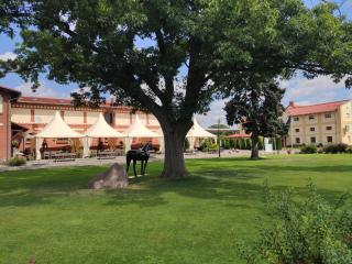 Hotel Sandro Silver & Spichlerz Antoniny - Leszno - 7